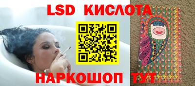 гидропоника Будённовск