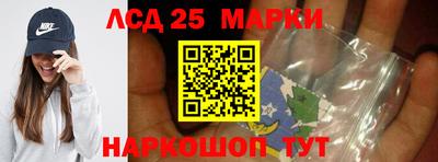 гидропоника Будённовск