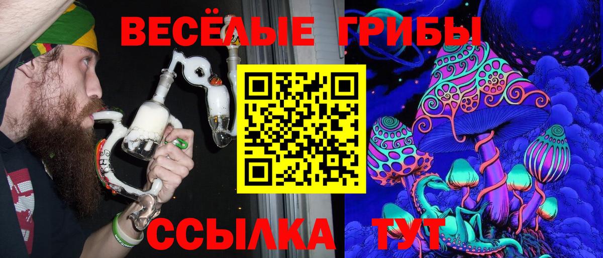 Таганрог  Галлюциногенные грибы MAGIC MUSHROOMS  Вход с VPN 