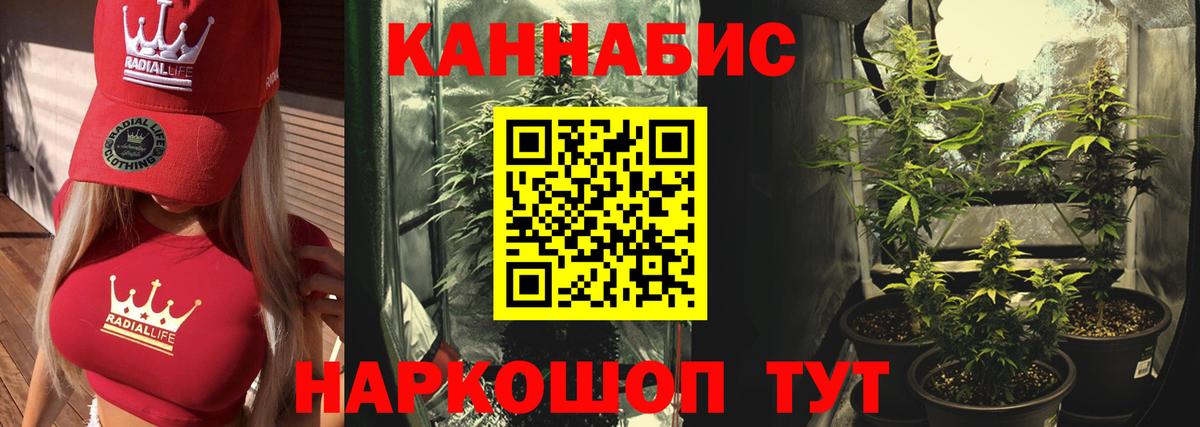 Канабис SATIVA & INDICA Таганрог